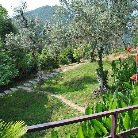 Villa Oliva New Athos 외부 사진