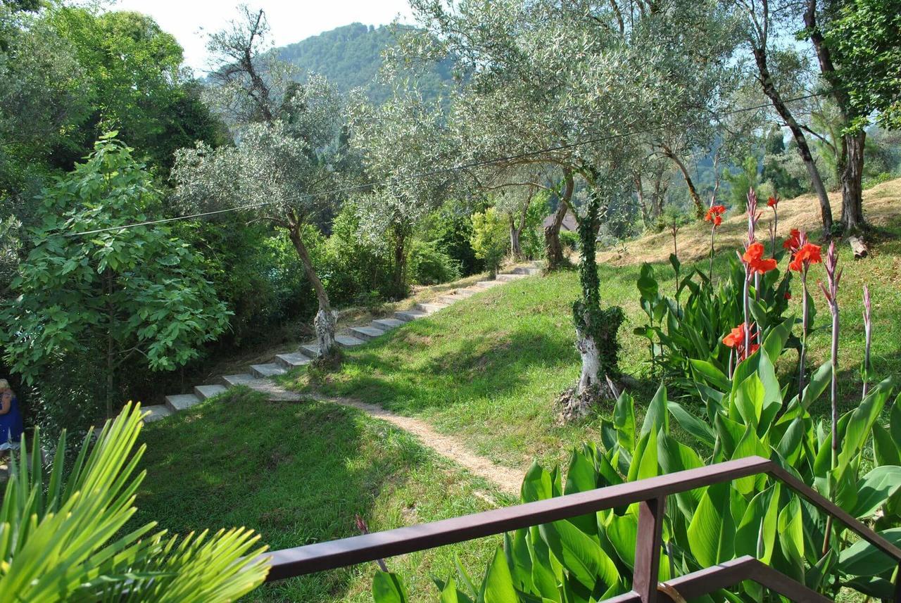 Villa Oliva New Athos 외부 사진